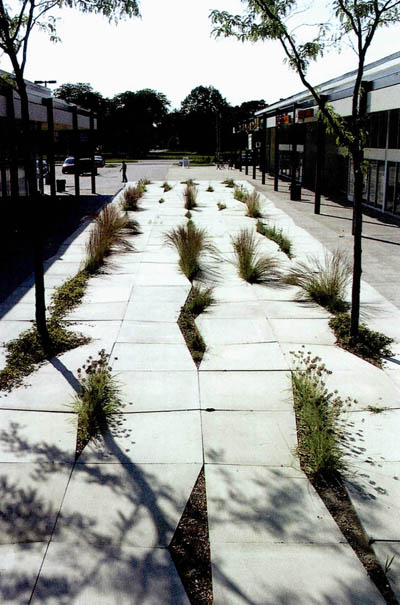 08-9.jpg